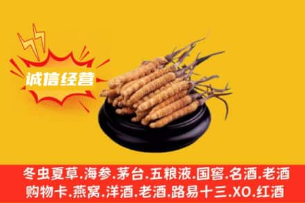 芜湖回收冬虫夏草